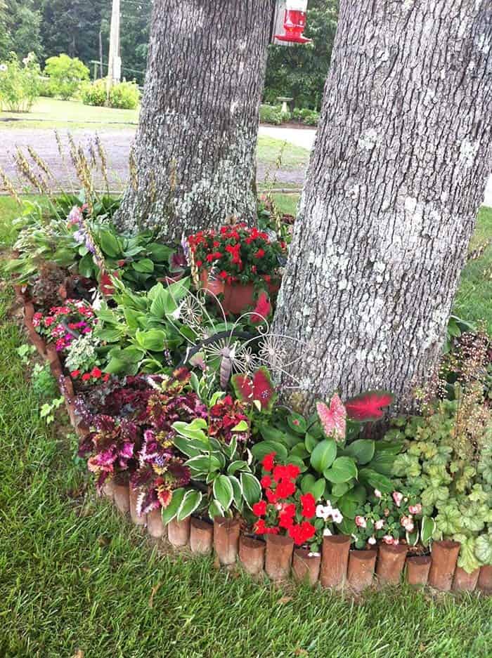 Tree Edging With Bulbs