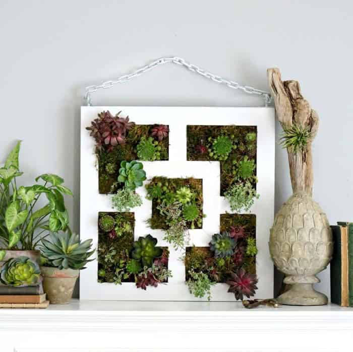 Tabletop Succulent Frame