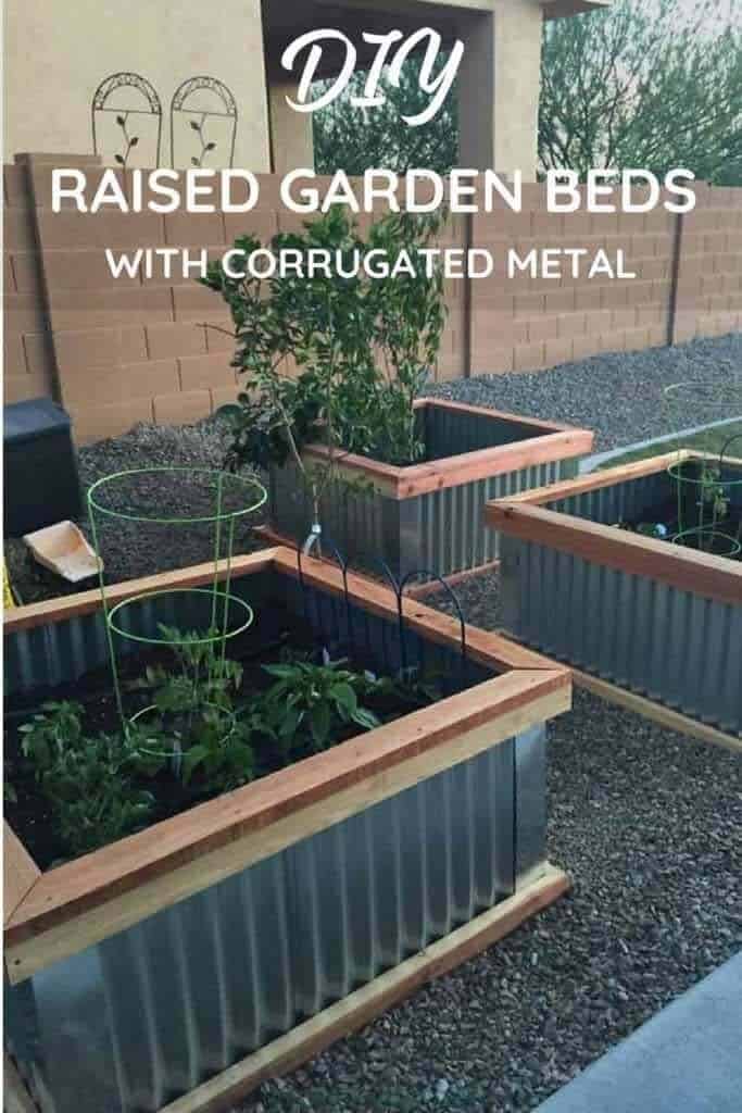 Raised Garden Beds with Galvanized Corrugated Metal