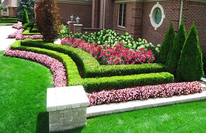 Meticulous Garden Bed with Boxwood Layers