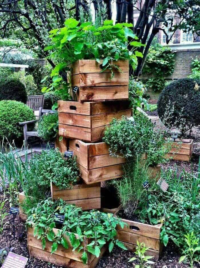 Waterfall of Greenery In Wooden Crates