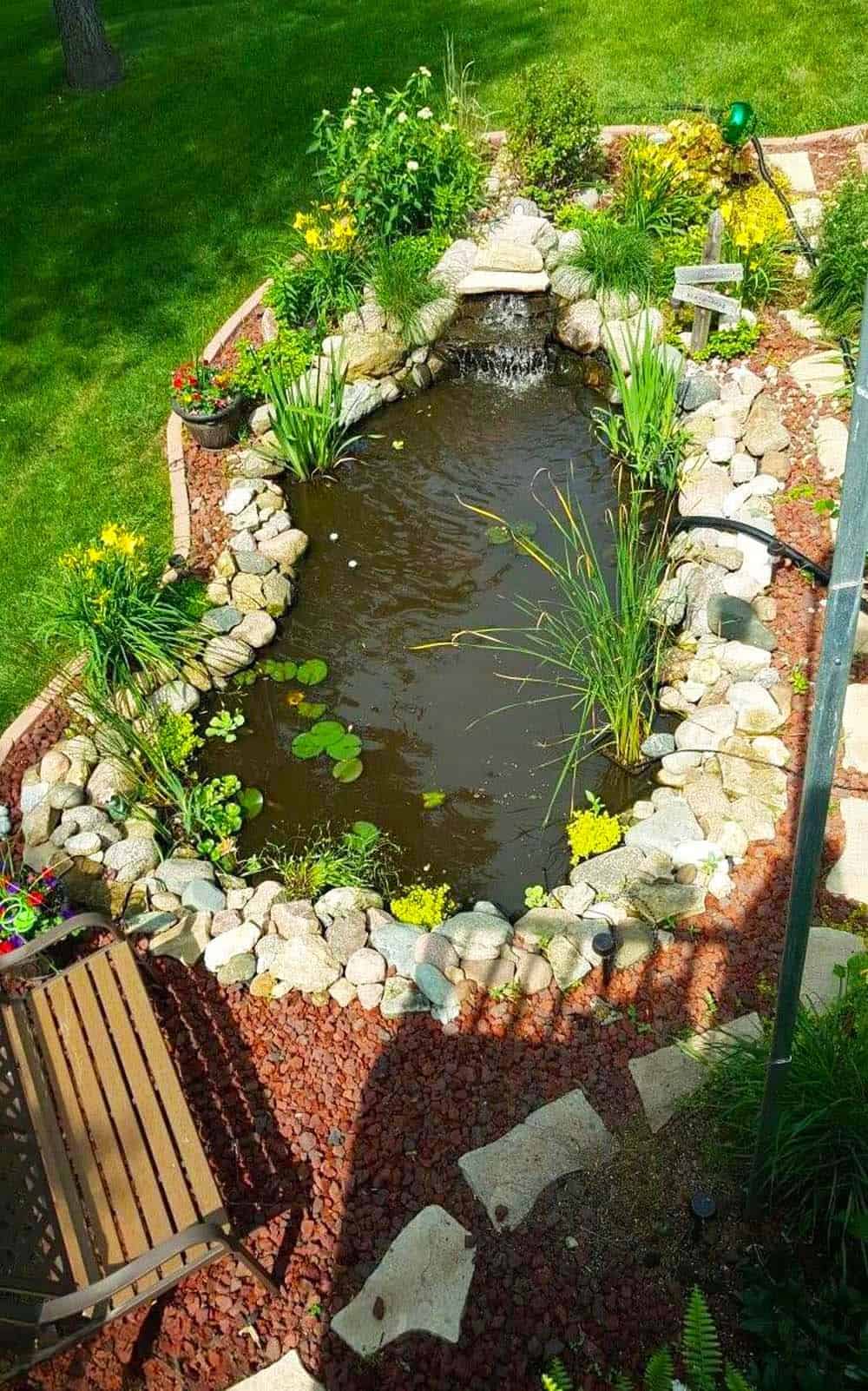 Backyard Water Garden