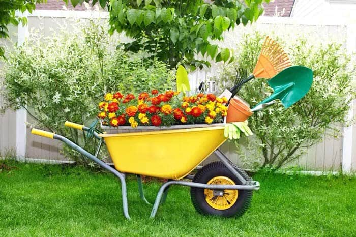 Upcycled Wheelbarrow Does Double Duty