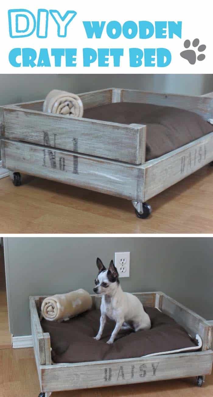 Cozy Bed For Your Furry Friend