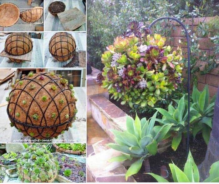 Make a Succulent Hanging Globe for Your Outdoor Space