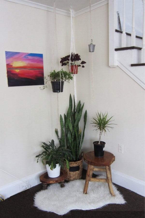 Eclectic Plant Stand Display