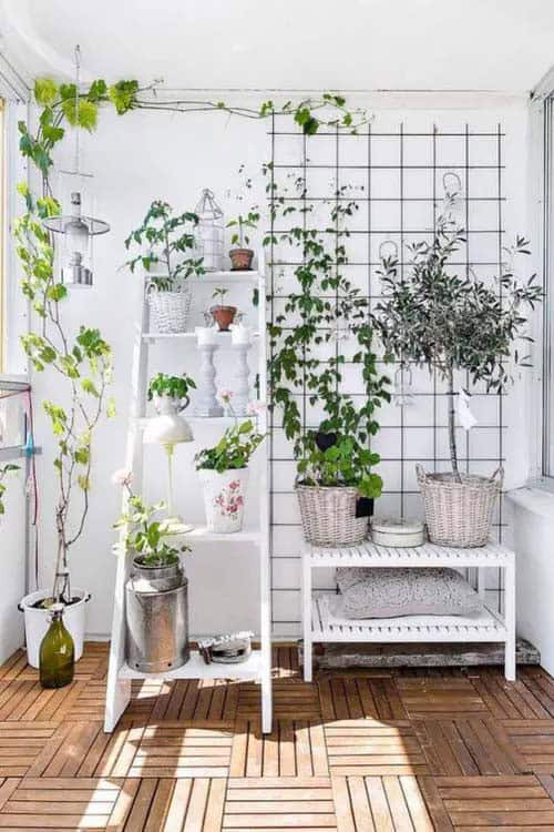 Let Your Houseplants Thrive With a Metal Frame