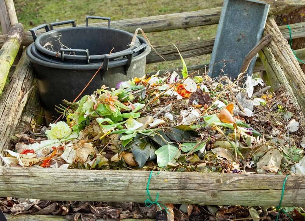 Make a Compost Pile