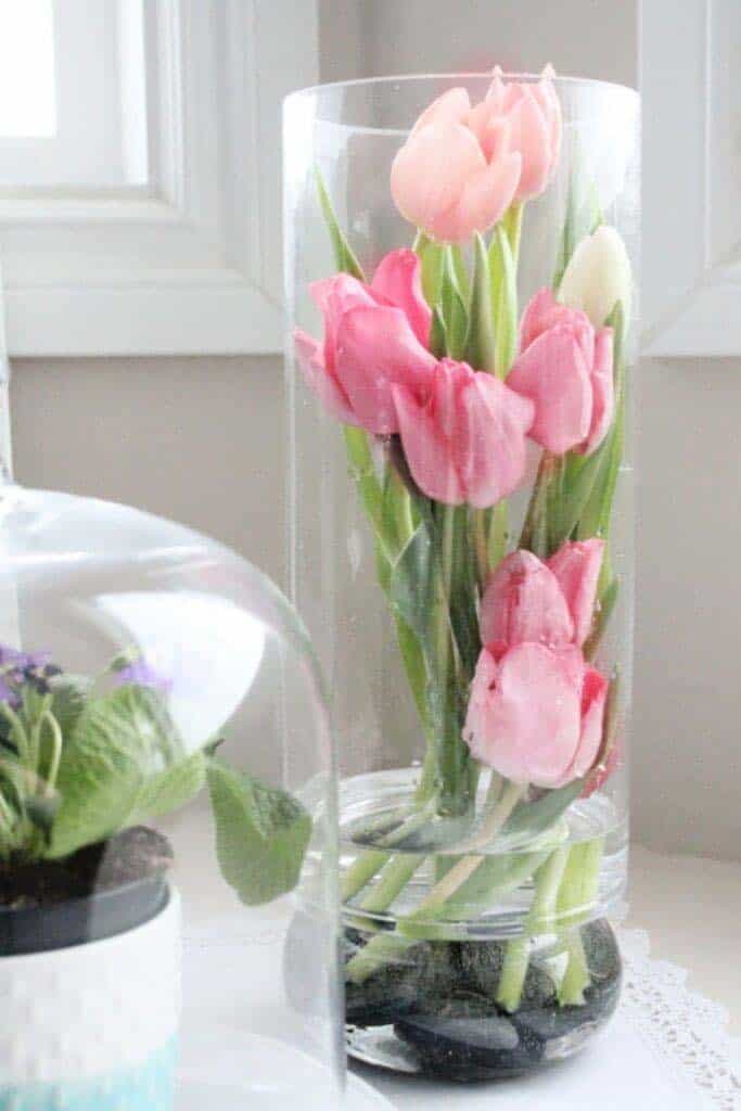 Slender Vase Holds Modern Tulip Arrangement