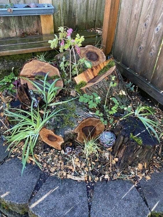 Repurpose Old Tree Stumps