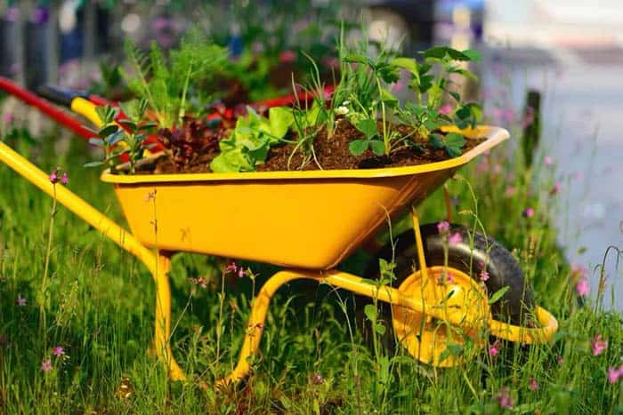 Small Wheelbarrows Make a Big Impact