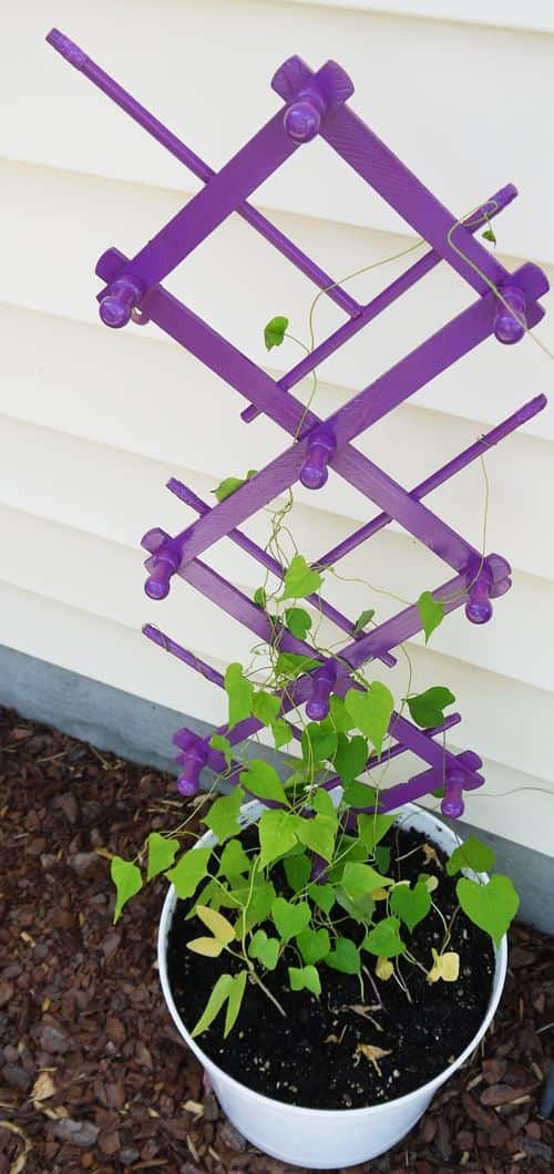 Colorful Peg Rack Planter Trellis