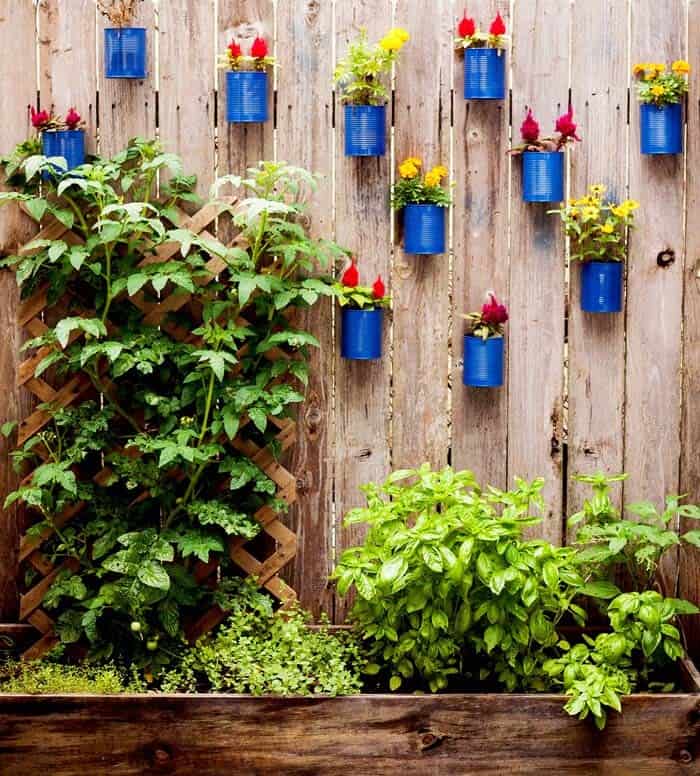 Eye-Catching Vertical Garden with Upcycled Tin Cans