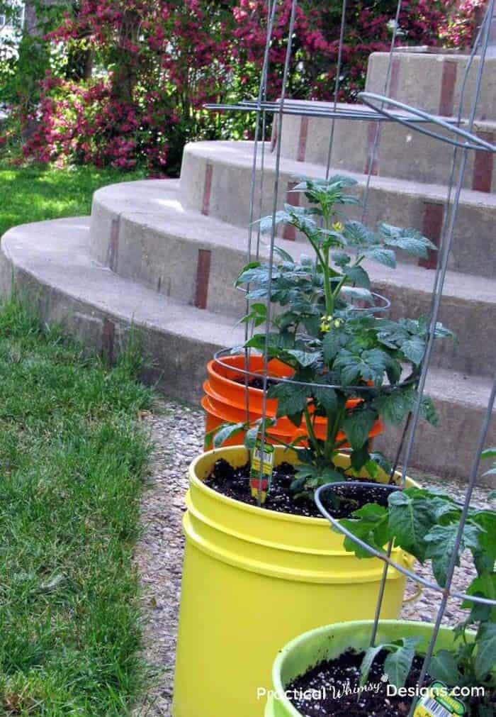 Easy Bucket Trellis Planters