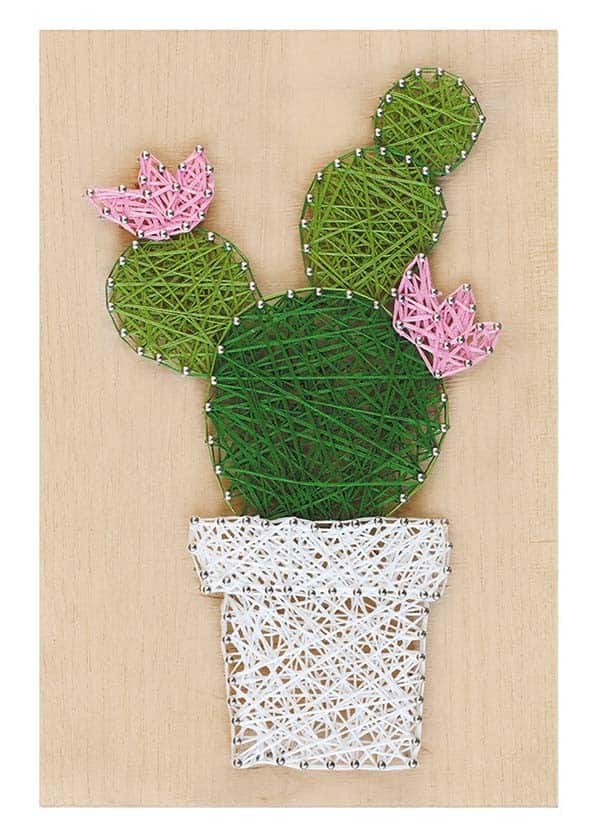 Cactus String Art Kit