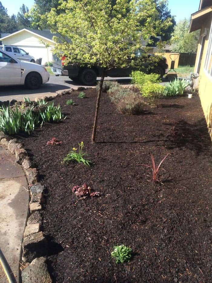 Transform Your Garden with a Simple Mulch Makeover