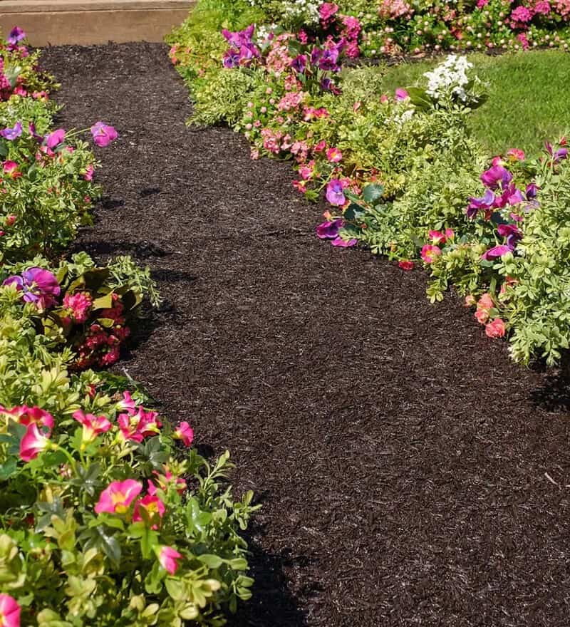 Mulch Path