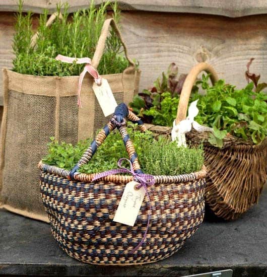 Make Herb Gardens Exciting with Vintage Basket Planters