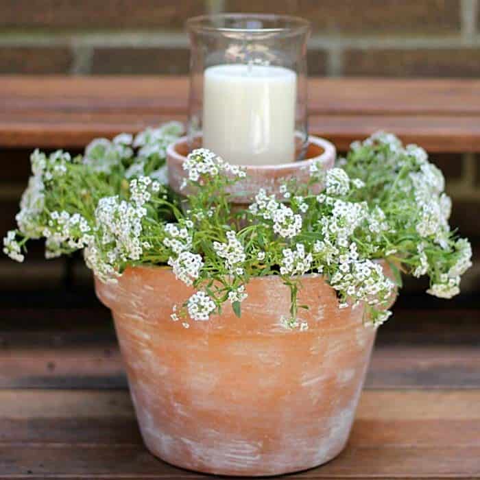 Give Your Terra-Cotta Pot an Aged Look with White Wash