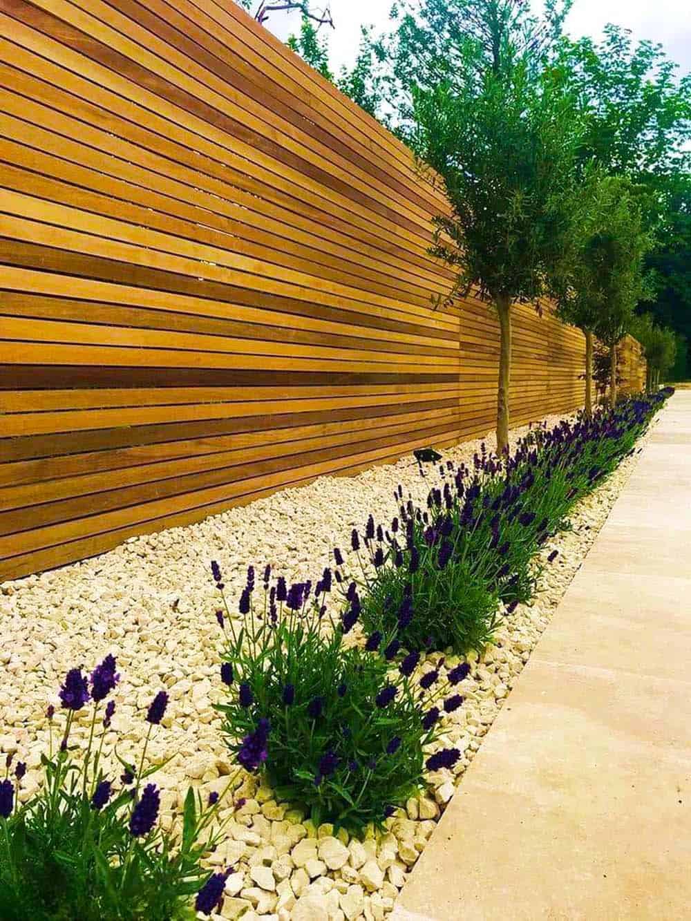 Modern Garden Border