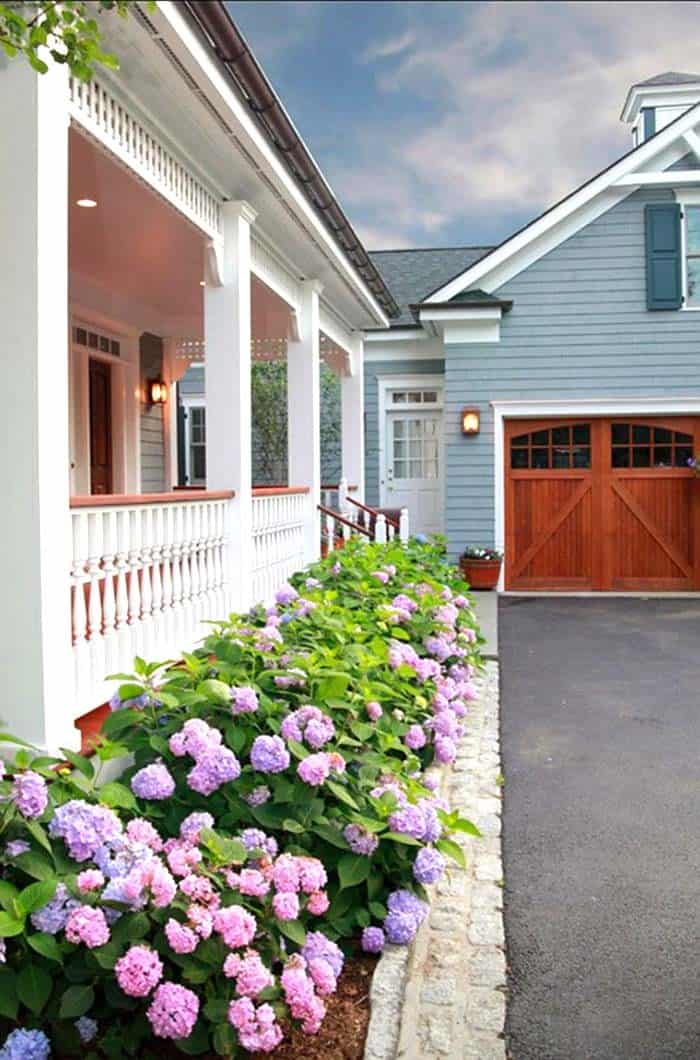 Boost Your Curb Appeal with a Hydrangea Field