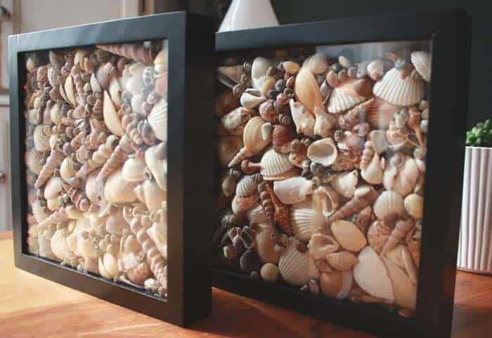 Make an Impressive Seashell Wall Art with a Shadow Box