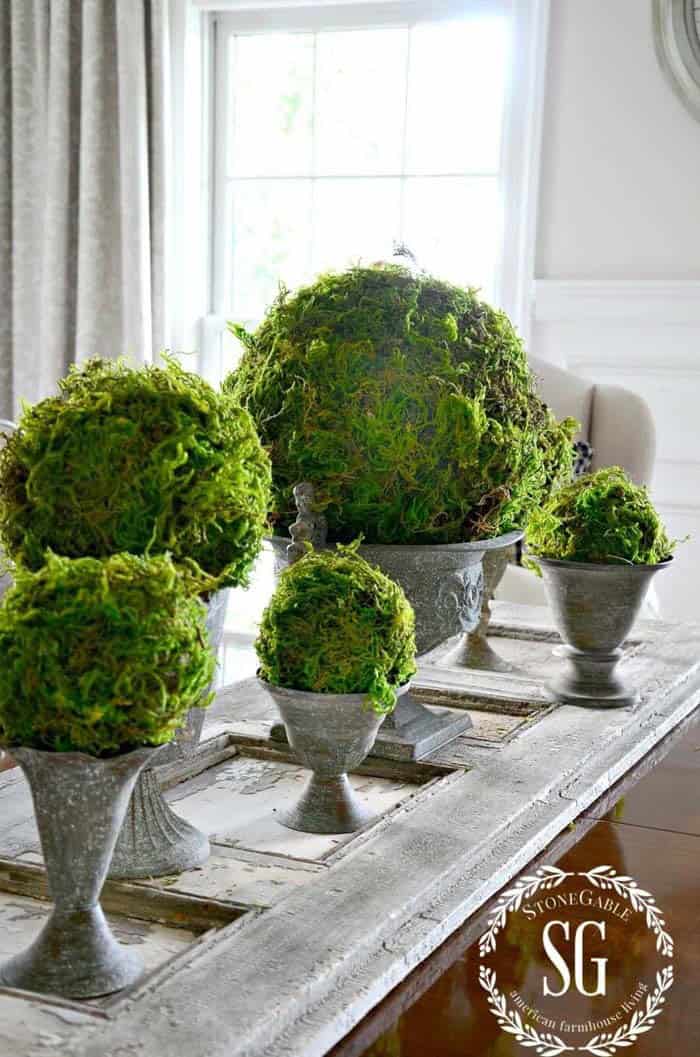 Natural Look Moss Ball Display