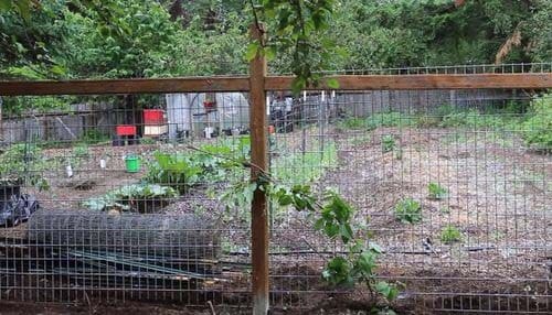 DIY Wire Framed Fence