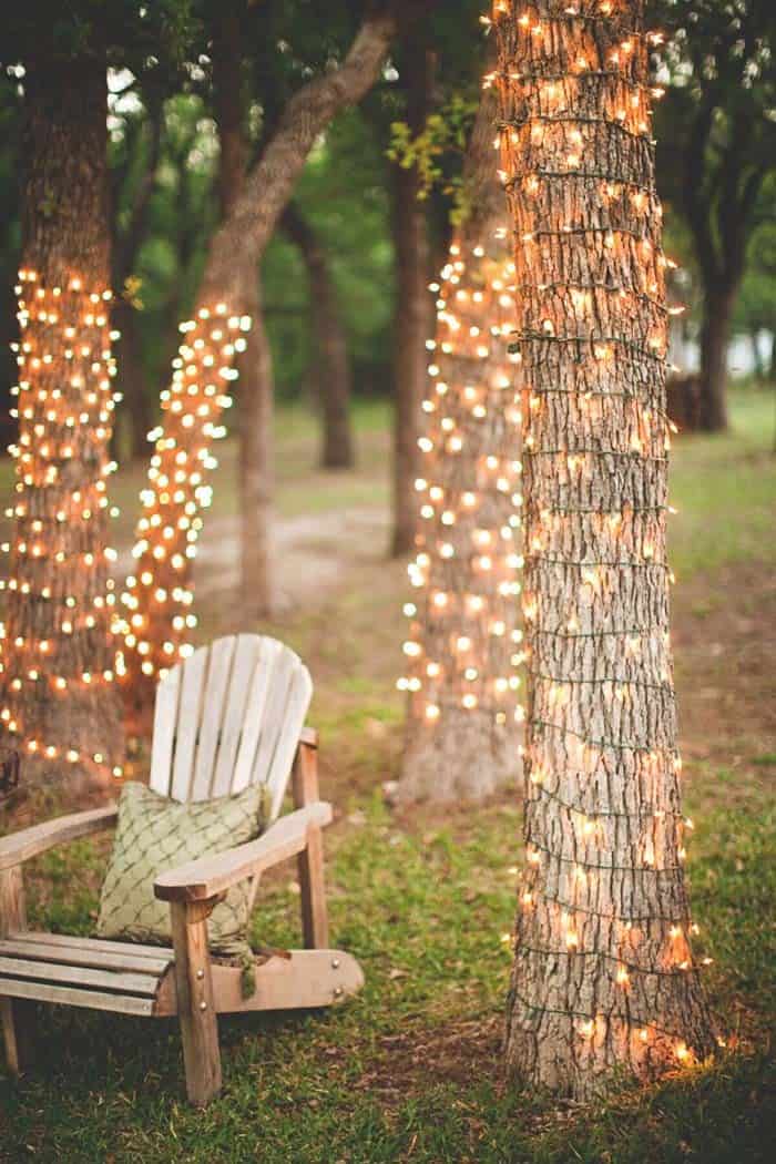 Adorn Your Trees With Fairy Light Strings