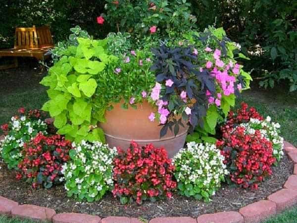 Big Terra Cotta Pot Flower Garden