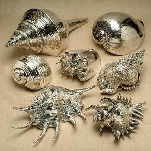 Transform Your Home with Faux Silver-Coated Seashells