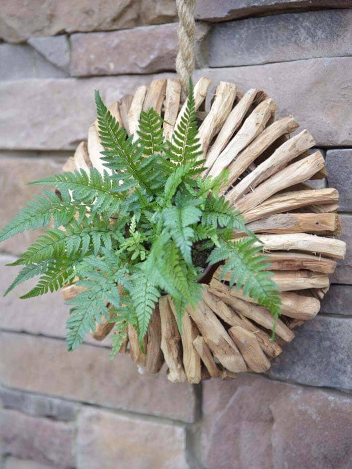 Make a Circular Plant Holder for Succulents and Ferns