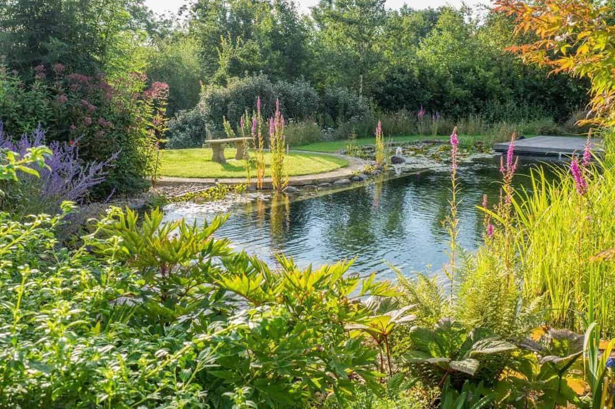 Fairytale Garden With A Natural Swimming Pool