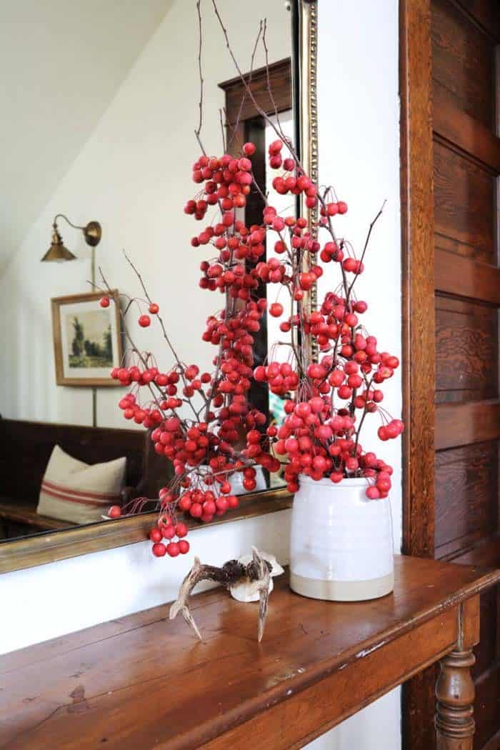 Add a Festive Touch with Colorful Winter Berries