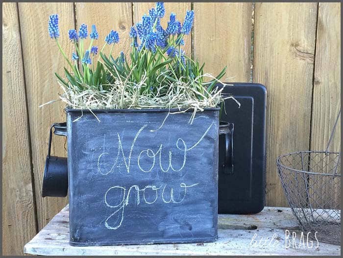 Chalkboard Painted Floral Planter