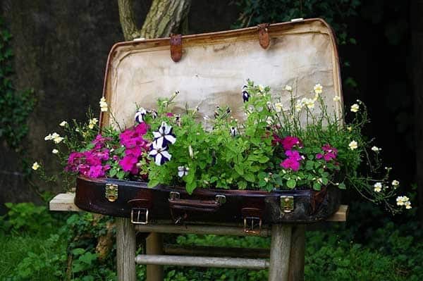 Suitcase Upcycled as Flower Bed Idea