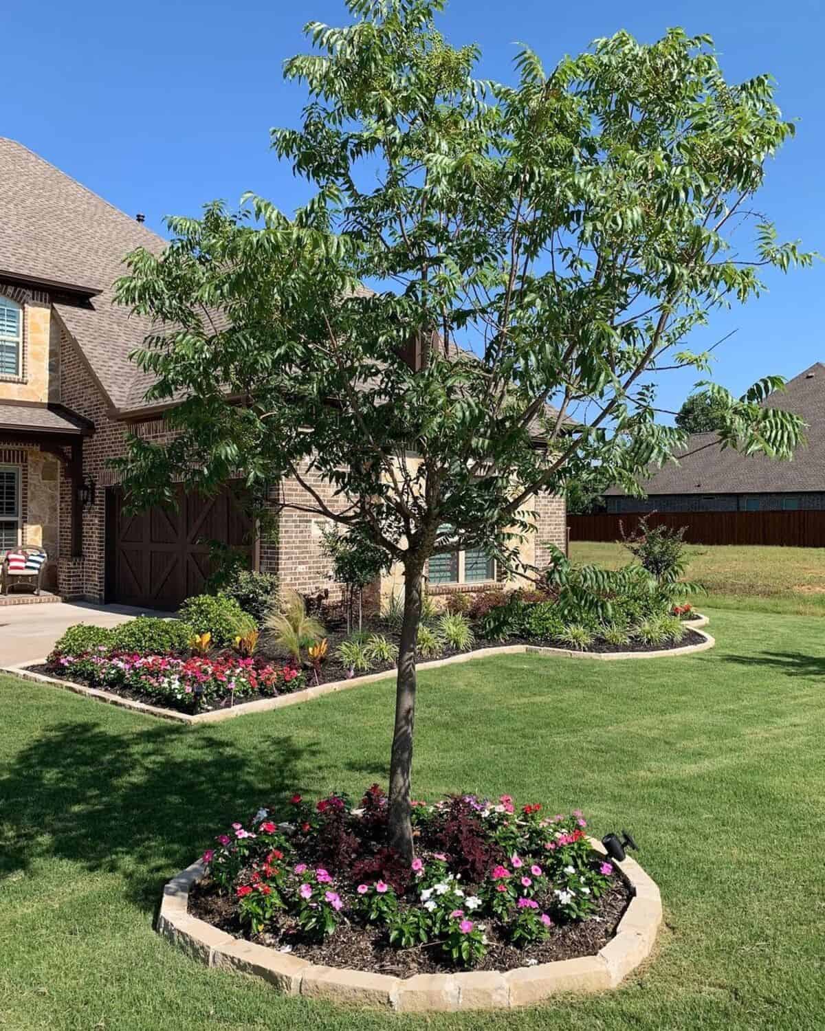 Flower Beds Around Trees With Edging