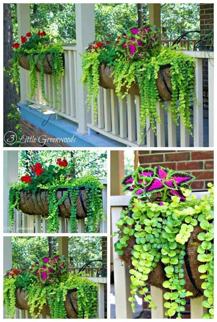 Beautiful Porch Railings with Metal Planters