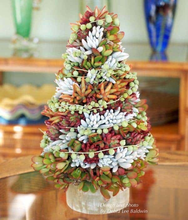 Jazz Up Your Decor with a Succulent Topiary Tree