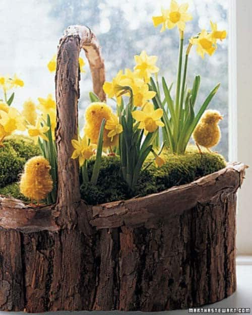 Festoon a Rustic Wicker Basket with Daffodils