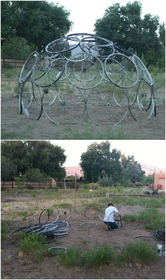 Repurposed Bicycle Wheel Trellis Feature