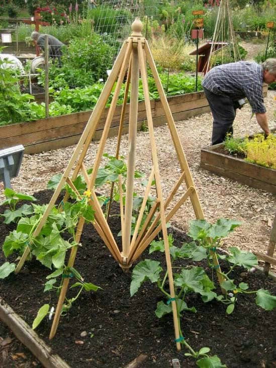 Repurposed Patio Umbrella Trellis