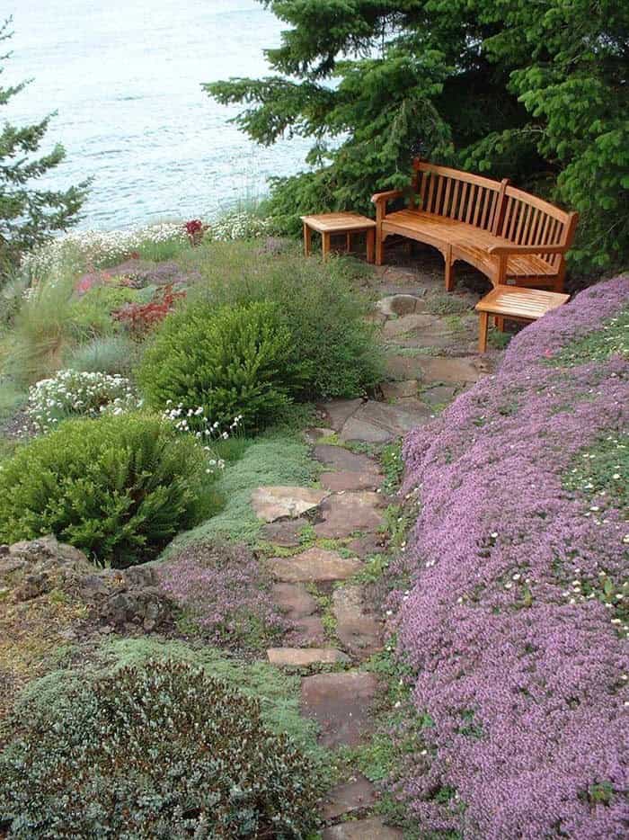 Prevent Erosion with Creeping Phlox Ground Cover