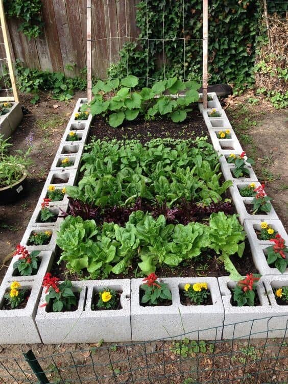 Use Spaces in Cinder Block Raised Garden