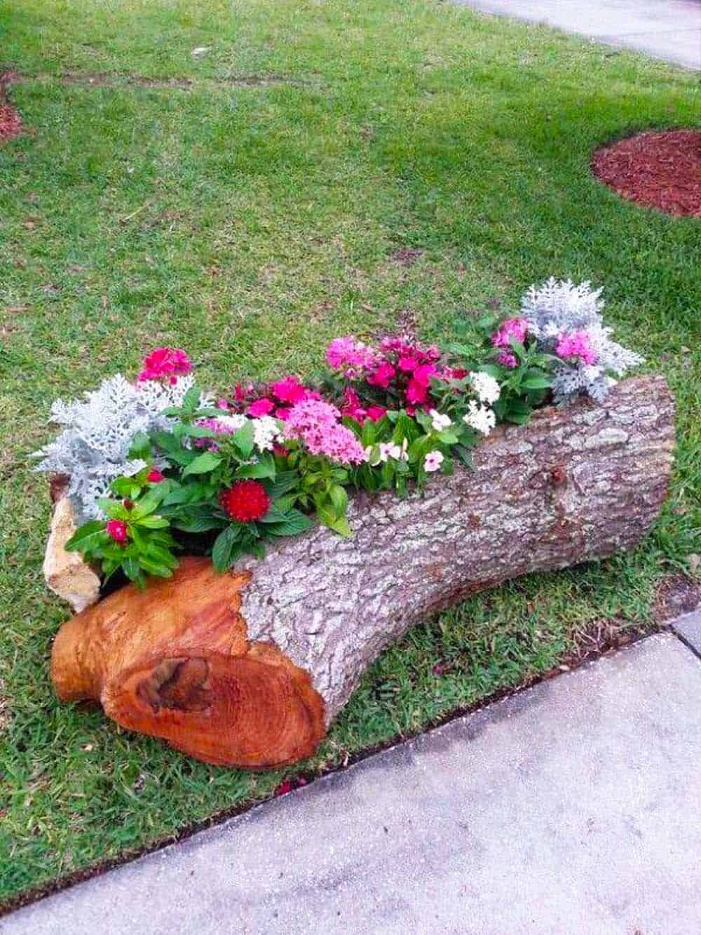 Log Blossom Bed