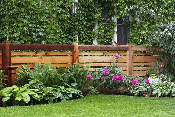 Modern Low Fence