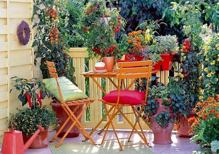 Brighten Your Balcony with a Colorful Garden