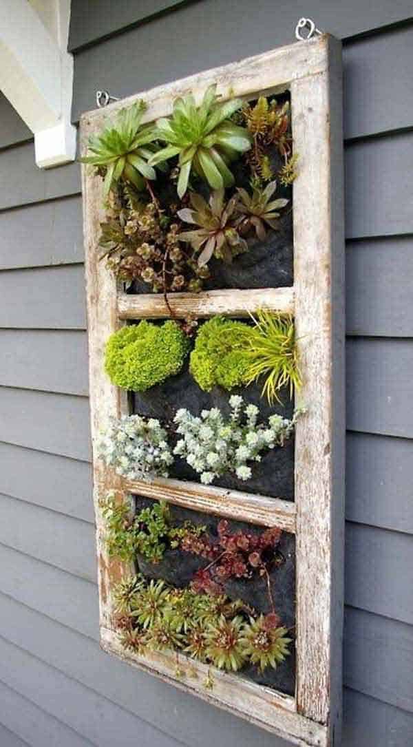 Make an Outdoor Succulent Wall Garden with an Old Window