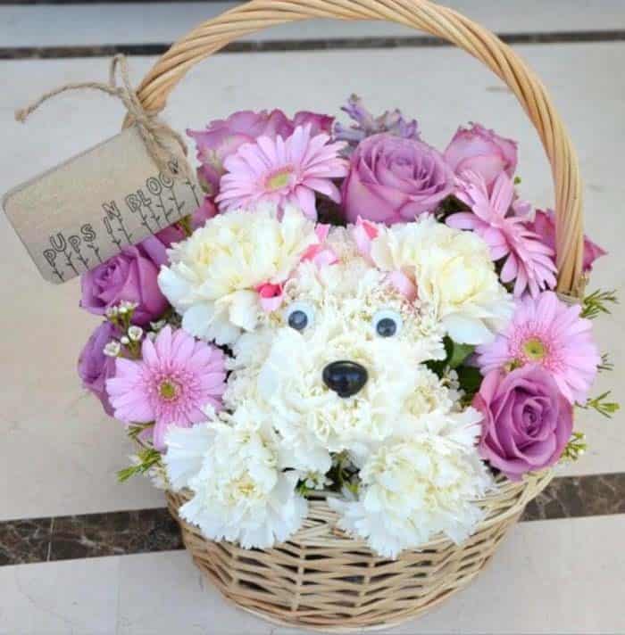 Sweet Puppy Made With Carnations