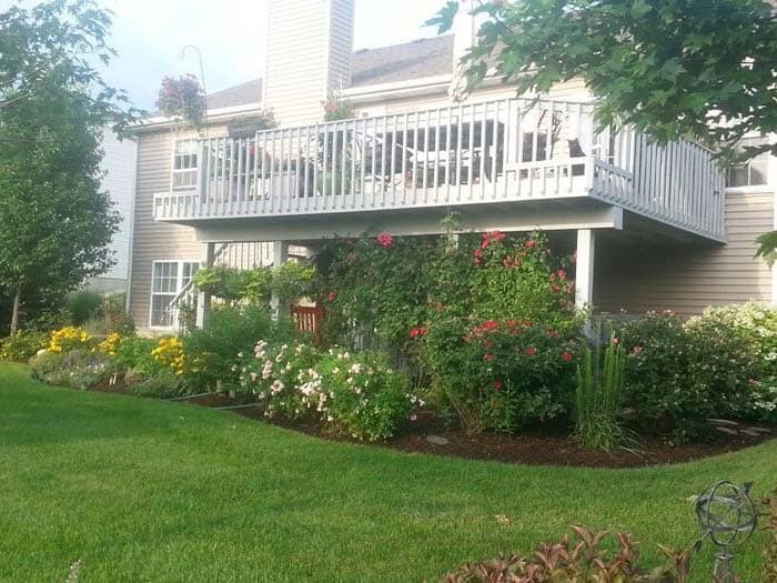 Plant an Extraordinary Garden Under Your Deck